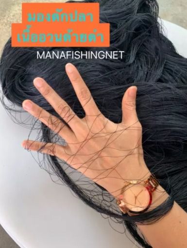 มองดักปลาเนื้อด้ายไนลอน  รูปที่ 7