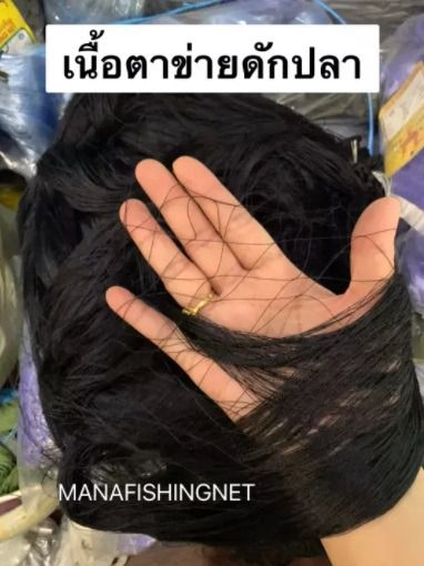 มองดักปลาเนื้อด้ายไนลอน  รูปที่ 2