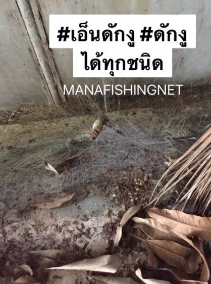 ตาข่ายล้อมเป็ด ล้อมไก่  รูปที่ 4
