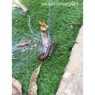 ตาข่ายกันงู กันตะขาบ ยาว 150 เมตร รูปที่ 8