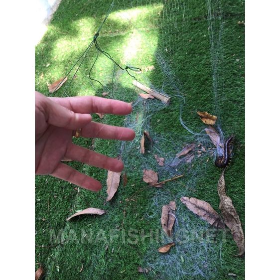 ตาข่ายกันงู กันตะขาบ ยาว 150 เมตร รูปที่ 3