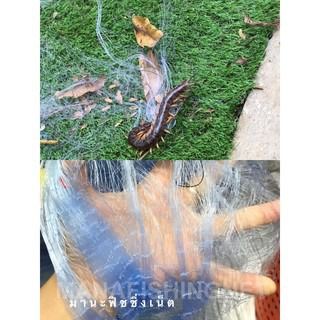 ตาข่ายกันงู กันตะขาบ ยาว 150 เมตร รูปที่ 9