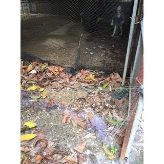 ตาข่ายกันงู กันตะขาบ ยาว 150 เมตร รูปที่ 7