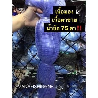 อวนเอ็นเนื้อป่าว  รูปที่ 2