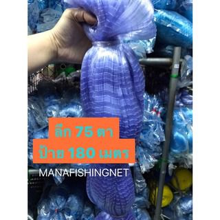 อวนเอ็นเนื้อป่าว  รูปที่ 7