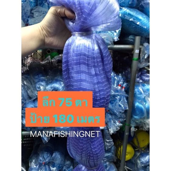 อวนเอ็น ตาข่าย มองใยบัว เนื้อป่าว  รูปที่ 2