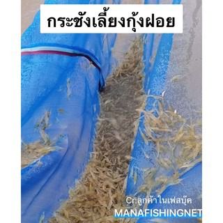 กระชังเลี้ยงกุ้งเครฟิช กุ้งฝอย  รูปที่ 2