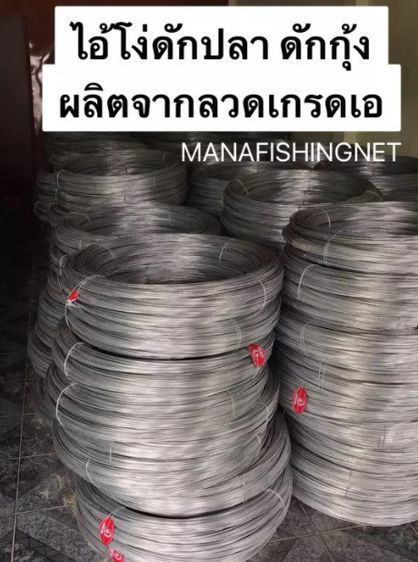 คอนโดดักปลา ดักกุ้ง รูปที่ 5