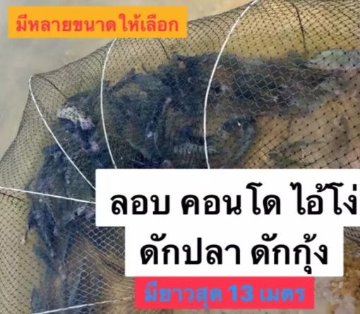 ไอ้โง่ดักปลา มีหลายขนาดให้เลือก รูปที่ 3