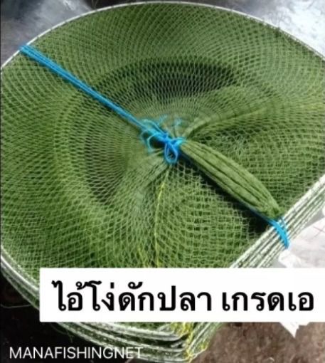 ไอ้โง่ดักปลา มีหลายขนาดให้เลือก รูปที่ 5