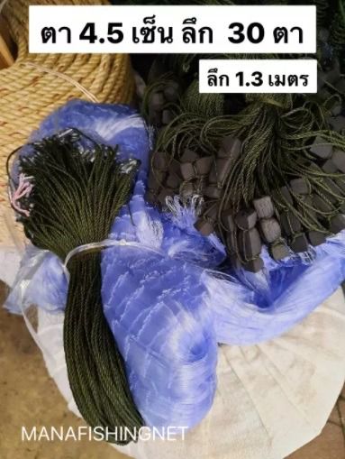 มองดักปลา แบบตาครึ่ง รูปที่ 5