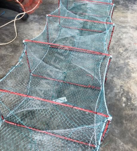 ไซดักกุ้ง ขอบสี่เหลี่ยม ยาว 8 เมตร  รูปที่ 6