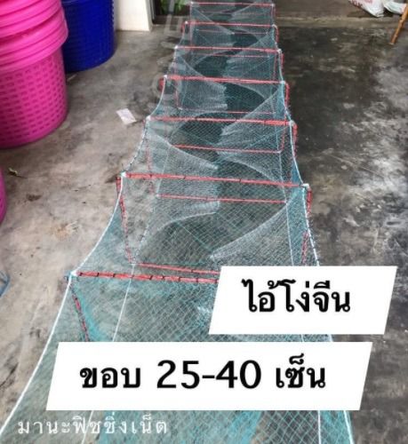 ไอ้โง่ดักกุ้ง ยาว 8 เมตร รูปที่ 3