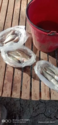 มองดักปลา ปากใหญ่ ติดทุ่นตะกั่วแบบสำเร็จ รูปที่ 5