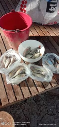 มองดักปลา ปากใหญ่ ติดทุ่นตะกั่วแบบสำเร็จ รูปที่ 3