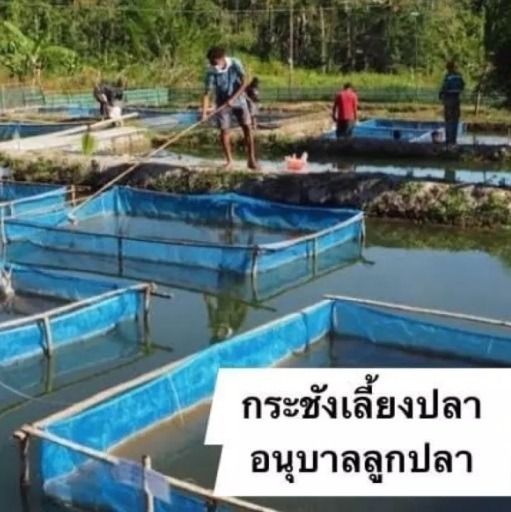 กระชังเลี้ยงปลา กุ้ง ลูกปลา แบบสำเร็จ  รูปที่ 2