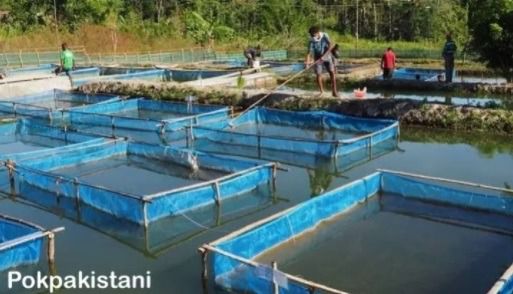 กระชังเลี้ยงปลา กุ้ง ลูกปลา แบบสำเร็จ  รูปที่ 7