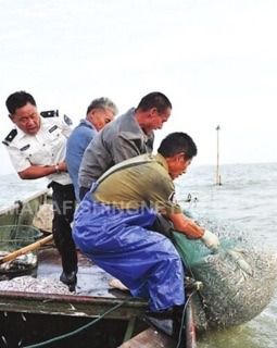 ลอบดักกุ้ง ดักปู ดักปลา  รูปที่ 6