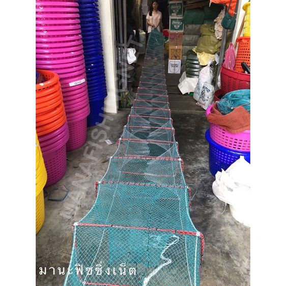 ที่ดักกุ้ง ดักปลา ดักปู  รูปที่ 10
