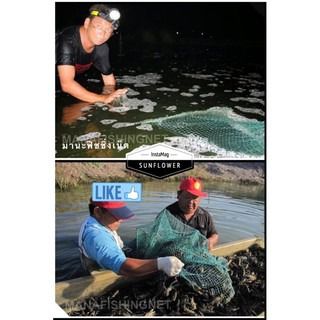 ที่ดักกุ้ง ดักปลา ดักปู  รูปที่ 15