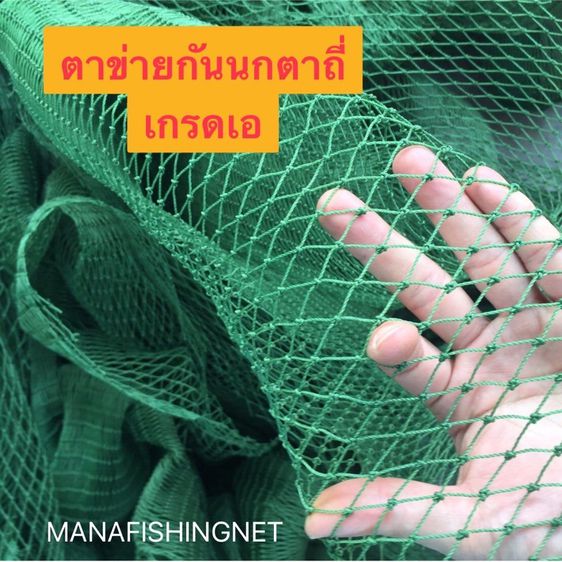 ตาข่ายกันนก  BIRD NET รูปที่ 6