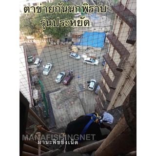 ตาข่ายกันนก  BIRD NET รูปที่ 8