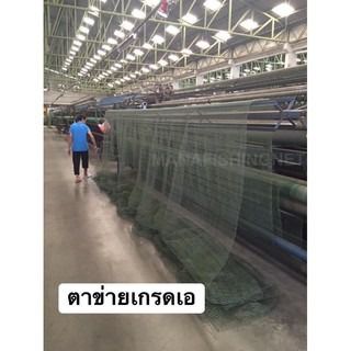 ตาข่ายกันนก  BIRD NET รูปที่ 2