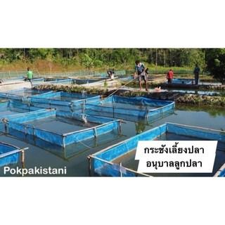 กระชังเลี้ยงปลา ใหญ่พิเศษ รูปที่ 6