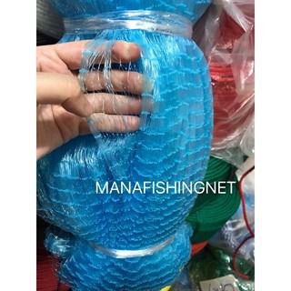 อวนเอ็นพิเศษฟ้าคราม  รูปที่ 2