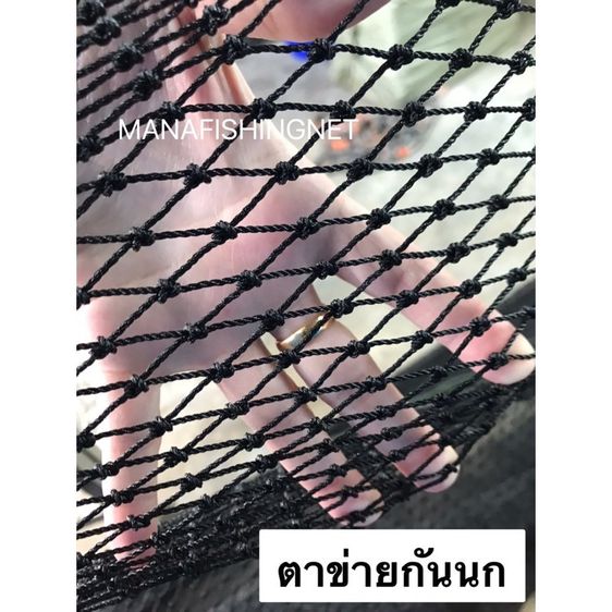 ตาข่ายเลี้ยงสัตว์กันน้องหมาน้องแมว กันงู  รูปที่ 2