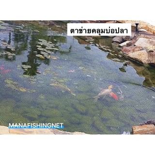 ตาข่ายคลุมบ่อปลา อ่างเลี้ยงปลา รูปที่ 7