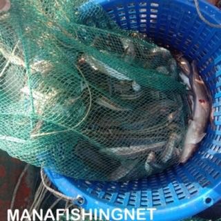 ตาข่ายดักปลา พับเก็บได้ รูปที่ 7