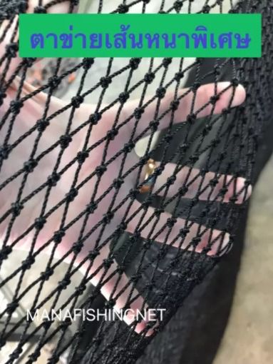 ตาข่ายตาถี่กันงู ขนาด 1x6 เมตร รูปที่ 3