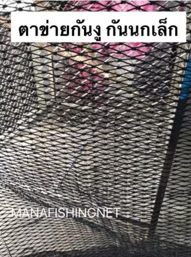 ตาข่ายตาถี่กันงู ขนาด 1x6 เมตร รูปที่ 4