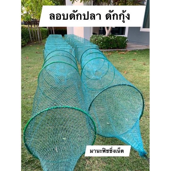 ไอ้โง่ดักปลา ตัวจัมโบ้ยาว 8 เมตร รูปที่ 2