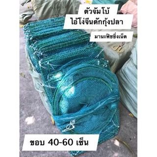 ไอ้โง่ดักปลา ตัวจัมโบ้ยาว 8 เมตร รูปที่ 6