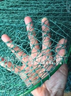 ไอ้โง่ไต้หวันดักกุ้ง พับเก็บได้ รูปที่ 2