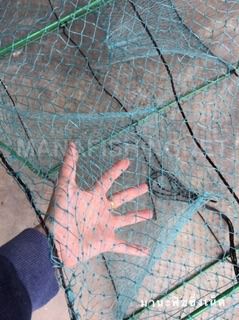 ไอ้โง่ไต้หวันดักกุ้ง พับเก็บได้