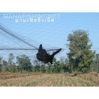 ตาข่ายป้องกันนกกาน้ำ นกเป็ดน้ำ ลงกินปลาในบ่อ รูปที่ 9