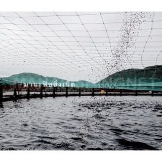 ตาข่ายป้องกันนกกาน้ำ นกเป็ดน้ำ ลงกินปลาในบ่อ รูปที่ 4