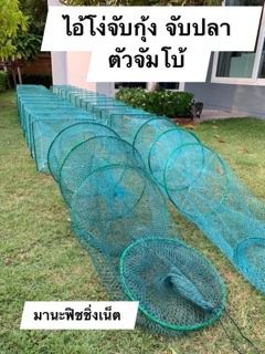 ไอ้โง่ไต้หวัน จับกุ้ง จับปลา