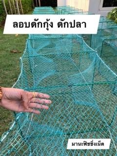 ไอ้โง่ไต้หวัน จับกุ้ง จับปลา รูปที่ 3