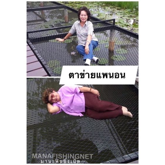Safety Net กันตก ขนาด 2x4 เมตร รูปที่ 6