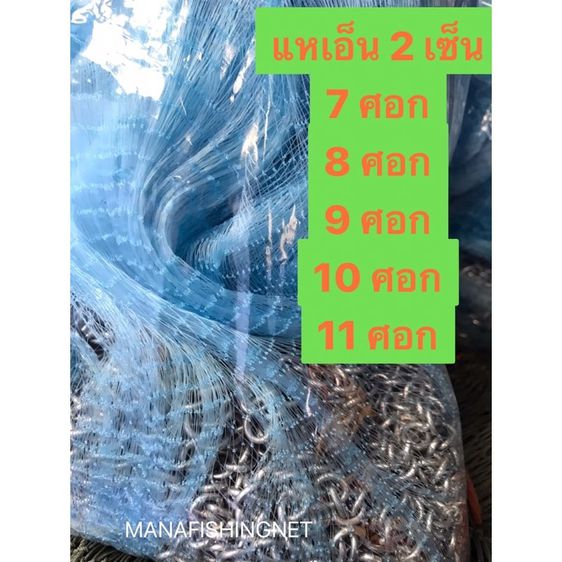 แหเอ็น ตา 2 เซน  รูปที่ 5