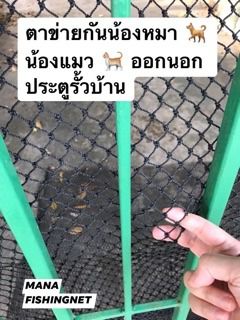 ตาข่ายกันสัตว์เลี้ยงออกนอกบ้าน รูปที่ 3