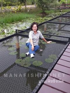 เปลตาข่ายกันตก กันเด็ก รูปที่ 3