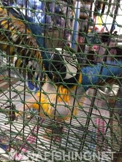 ตาข่ายตาถี่กันงู กันนก รูปที่ 5