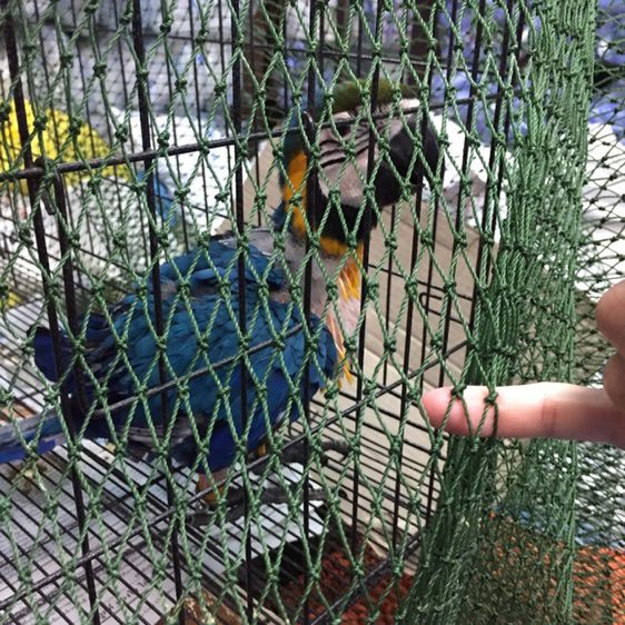 ตาข่ายตาถี่กันงู กันนก