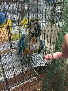 ตาข่ายตาถี่กันงู กันนก รูปที่ 6