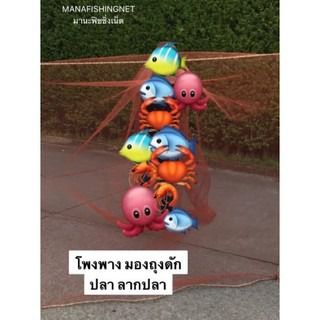 อวนลากปลา จับปลา แบบถุง มีหูรูด รูปที่ 6